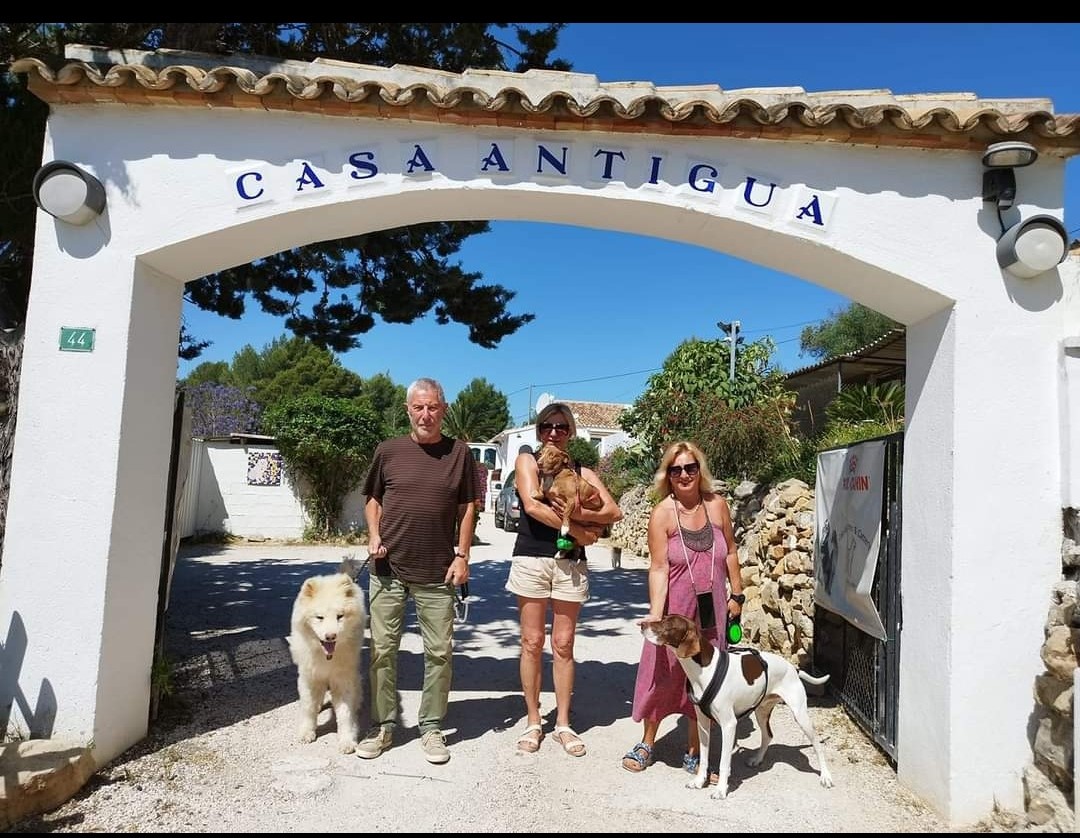 Casa Antigua Kennels & Cattery