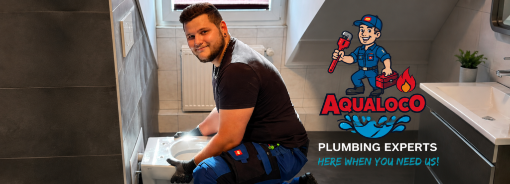 Aqualoco
